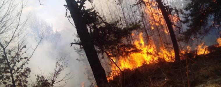 Пожарът в Струмяни е овладян