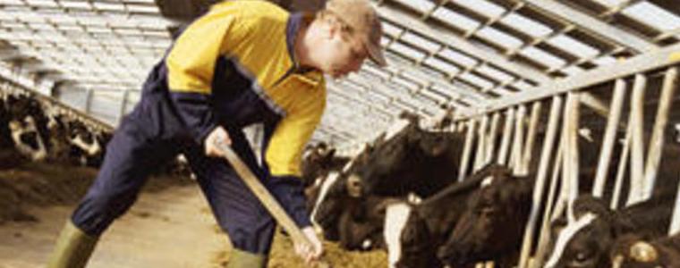 ДФЗ разпределя парите за животновъдите по de minimis