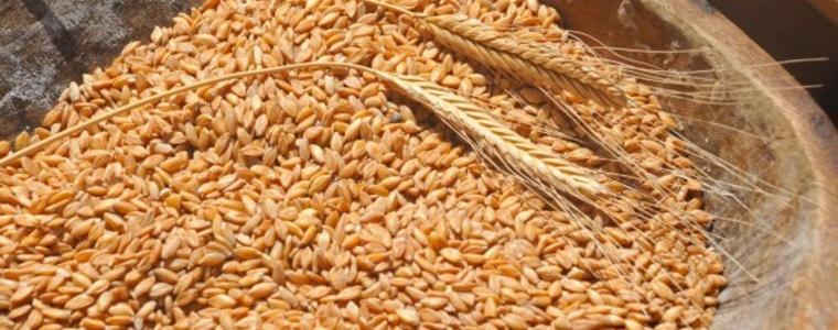 САЩ прати жито за 21 млн. долара на Йемен
