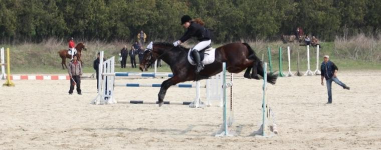 Турнирът по конен спорт за Купите на доц. Тодоров в Тошево ще бъде на 2 април