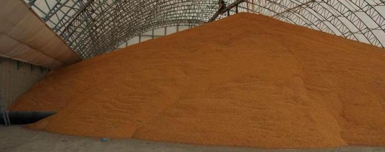Неизвестен задигна 4 тона пшеница от хале