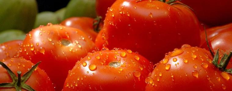 Крадци на домати се укриват от полицията в Тервел
