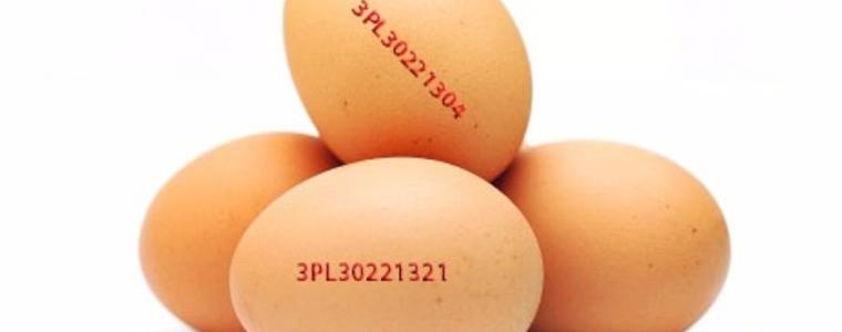 БАБХ изтегля от търговската мрежа кокоши яйца от Полша
