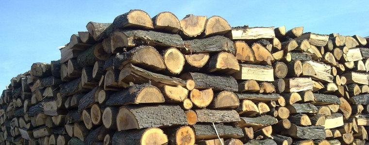 Североизточно държавно предприятие стартира електронните търгове за продажба на дървесина