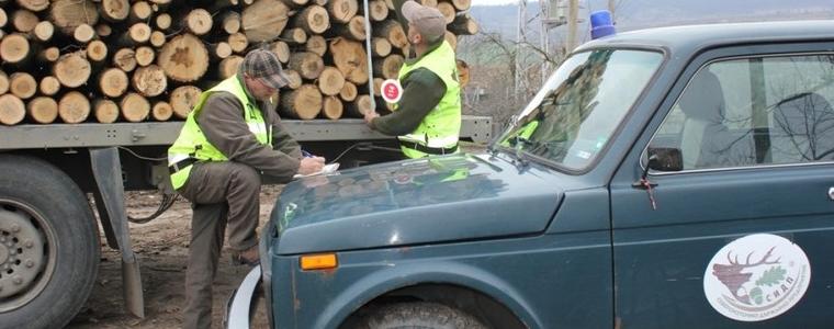 Усложнената зимна обстановка не е спряла незаконния добив на дърва в региона
