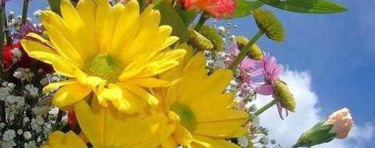 Променлива облачност и високи температури през тази седмица