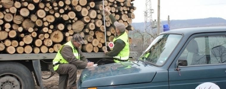 Незаконна сеч на 5 куб. м. дърва за огрев установиха за седмица горските в Добрич и Генерал Тошево