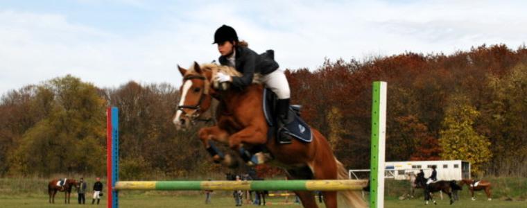 Турнирът по конен спорт за купите на доц. Тодоров в Тошево ще бъде на 18 март