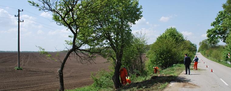В община Генерал Тошево почистват общинската пътна мрежа 