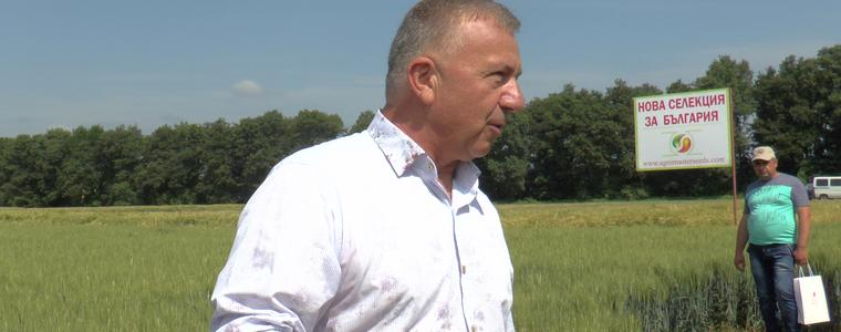 „Агро Мастер” представи в Добруджа най-новите селекции на пшеница и ечемик от Европа (ВИДЕО)