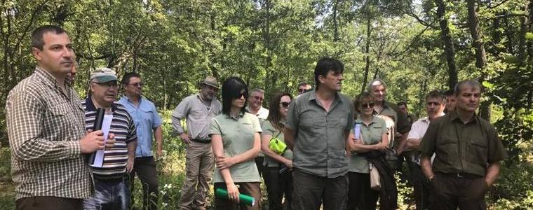 Експерименталният обект в ДГС „Генерал Тошево” дава насоки за възобновяване на издънковите дъбови гори