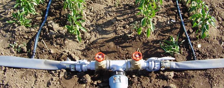Откраднаха система за капково напояване от нива край каварненско село