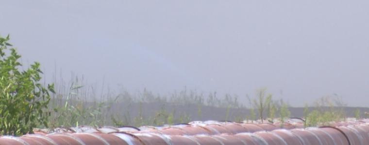 Губим 50 души на ден заради мръсния въздух