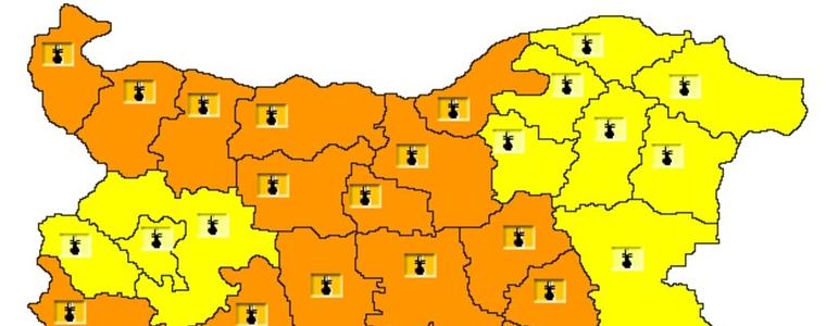 Жълт код за опасни горещини за Добрич, оранжев - в половин България