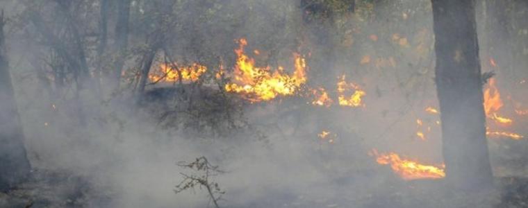 Над 450 души продължават гасенето на пожара в Кресненското дефиле 