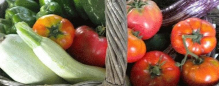 В житницата на България гледат всякакви зеленчуци