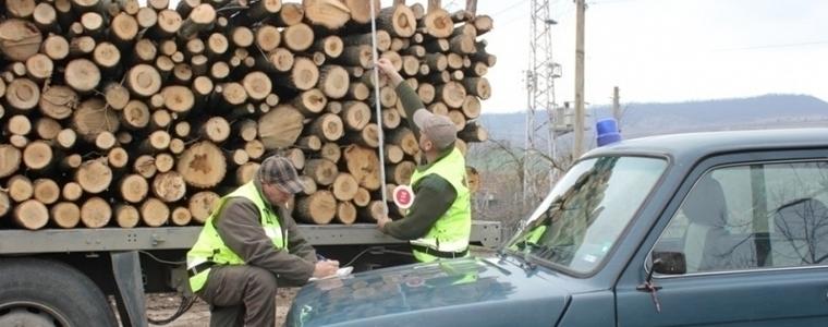 Съставиха 30 акта при съвместна акция срещу търговията с незаконно добити дърва за огрев в Добричко