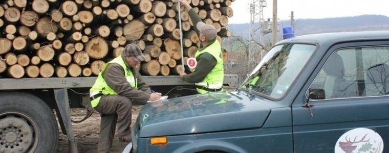 Незаконна сеч на над 52 куб. м дърва за огрев в обхвата на ДГС „Добрич”, установиха за седмица горските