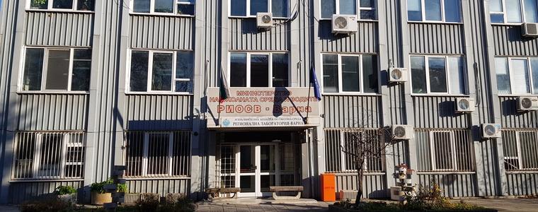 РИОСВ -Варна поиска кметовете да засилят контрола при палене на огньове на Сирни Заговезни