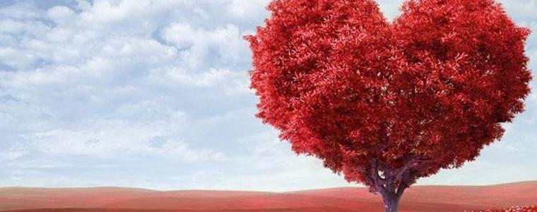 РЗИ – Добрич с кампании по общини за Деня на влюбените