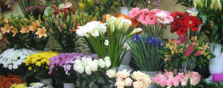 В Добрич ще има двудневен базар за цветя за 8 март