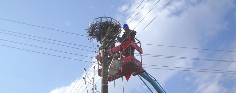 Електроразпределение Север завършва пролетното инсталиране на платформи за гнезда на белия щъркел