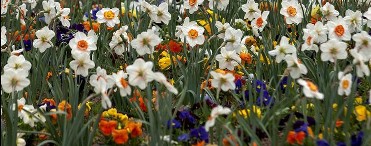 Очаква ни слънчева седмица