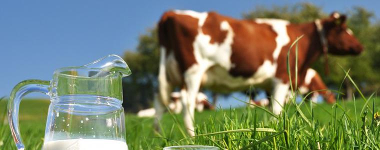 Специалисти от САЩ представят в Добрич иновации в генетиката и ефективно хранене на млечната ферма