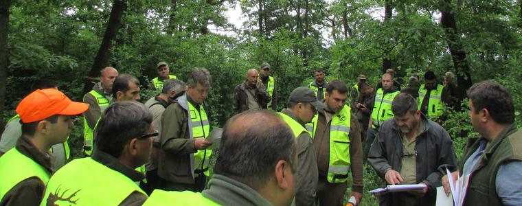 ДГС „Добрич” подпомага растежа на 60 дка млади гори