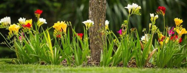 Прогноза за понеделник, 21 май