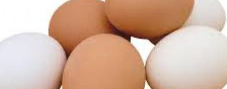 Изтеглят български яйца от пазара заради птичи грип