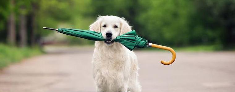 Прогноза за събота, 23 юни