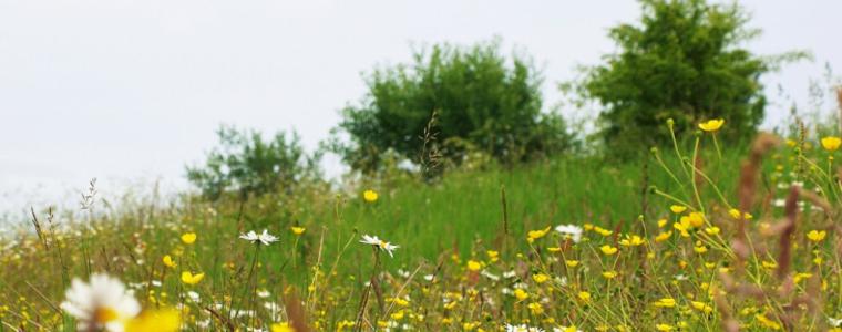Прогноза за времето в понеделник, 25 юни