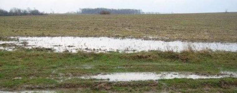 Близо 3 хиляди декара пшеничени ниви са пострадали от дъждовете в добричко