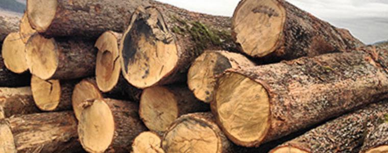  Акция срещу търговията с незаконна дървесина се проведе в Тервелско