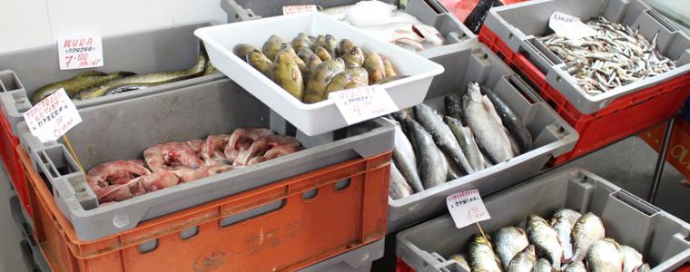 НАП Варна проверява търговците на риба