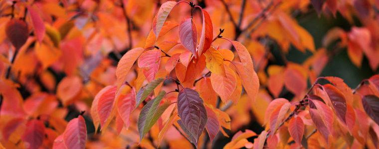 С над 10 градуса падат температурите утре