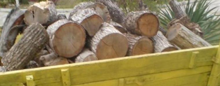 Кон и каруца с незаконна дървесина задържаха горските стражари в Добрич