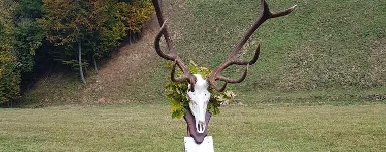 Обявиха за най-красив трофея от благороден елен, добит на 4 октомври в ДЛС-Тервел