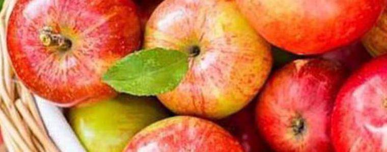 Ябълката-фест се провежда днес и утре в Добрич