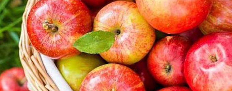 Ябълката – Фест ще забавлява гражданите и гостите на Добрич