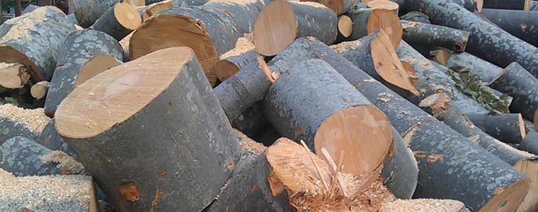 3 200 кубика дърва за огрев предостави на местното население ДЛС-Тервел
