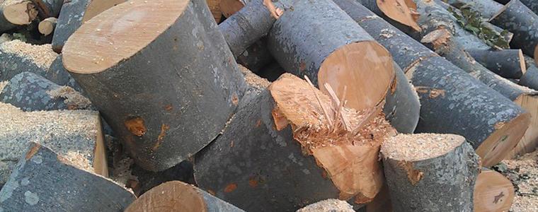 ДГС-Добрич с готовност да изпълни заявките за дърва за огрев преди началото на зимата
