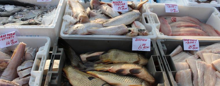 Проверките на ОДБХ-Добрич не са констатирани нарушения при продажбата на риба в областта