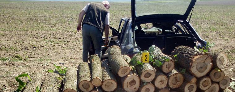 След гонка стражари от ДГС “Добрич” задържаха автомобил с незаконна дървесина