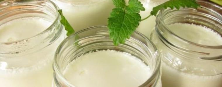 Държавата има 2 месеца да защити българското кисело мляко 