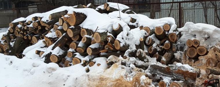 Намериха крадени 9 кубика дърва в частен имот в село Безмер