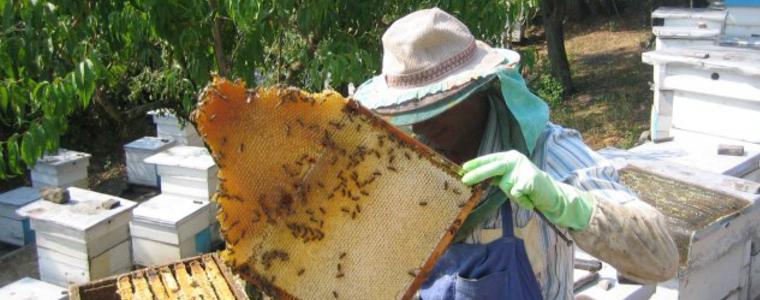 Честваме Св. Харалампий Чудотворец – Ден на пчеларя