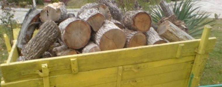 В ДЛС „Тервел” задържаха каруца и 7,5 куб. м дърва за огрев 