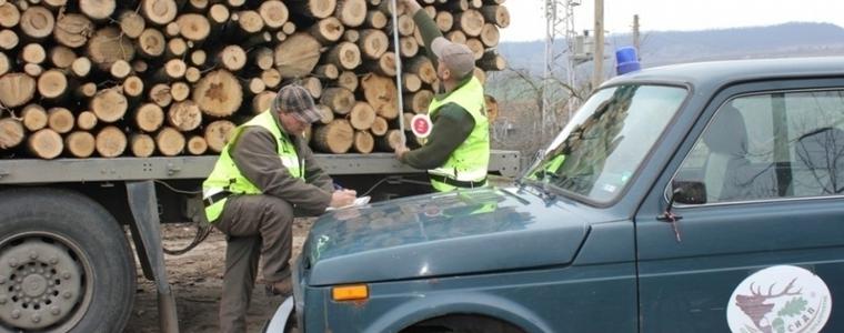 Горските стражари задържаха автомобил с незаконна дървесина в Добричко